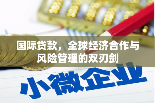 维西国际贷款，全球经济合作与风险管理的双刃剑