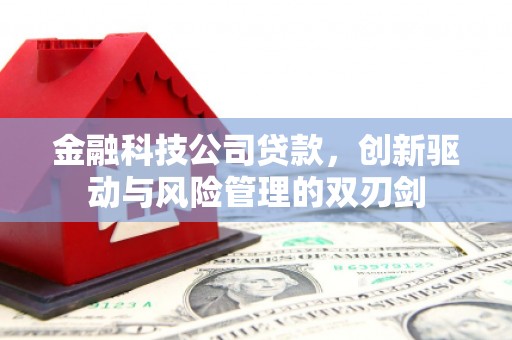 铜仁金融科技公司贷款，创新驱动与风险管理的双刃剑